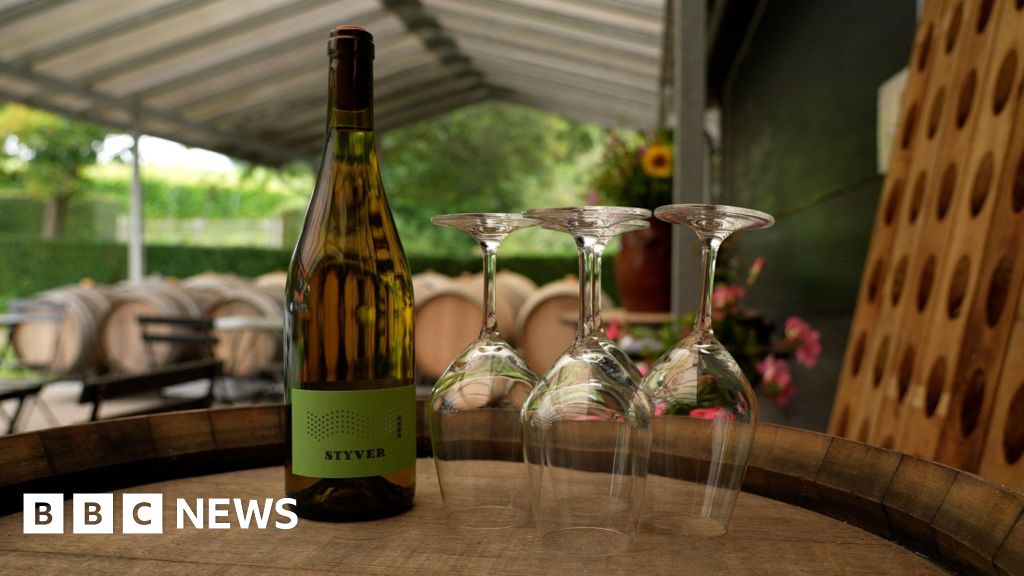 Scandi wines hope to win over drinkers – 2024-12-16 00:01:00 , BBC News