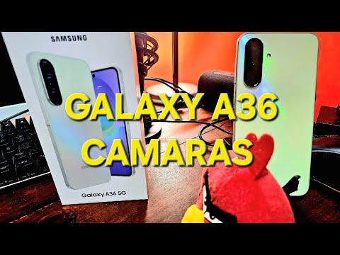 Samsung Galaxy A36 Apartado cámaras